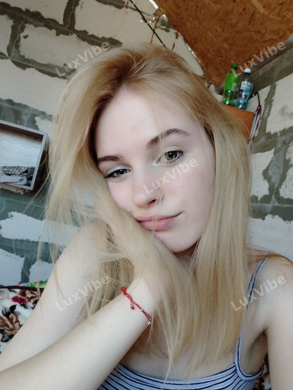 Дашулькинс