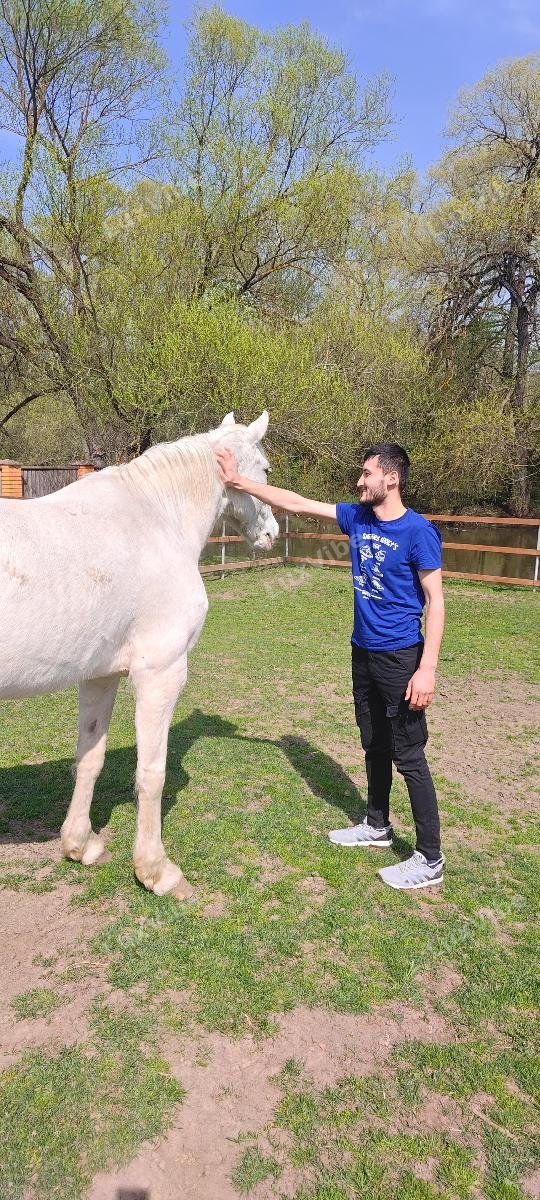 Максудбек 