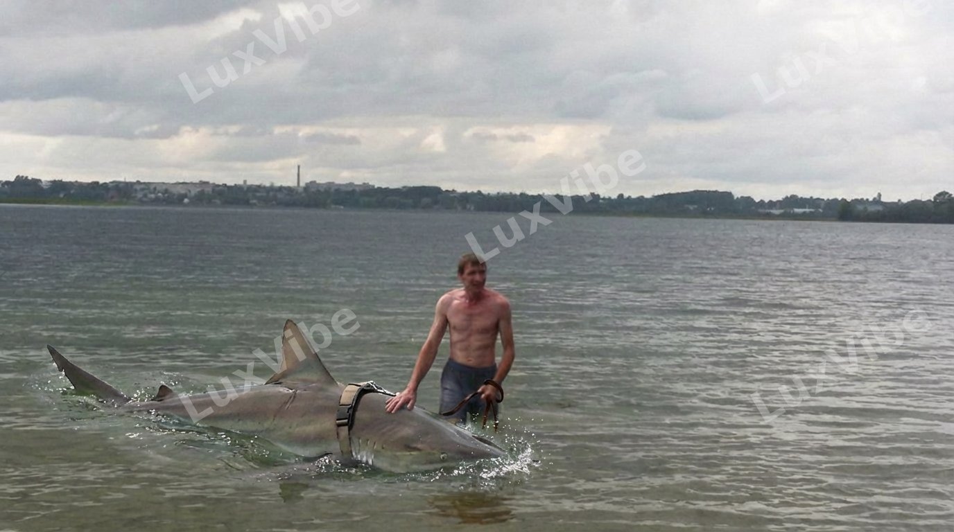 Денис