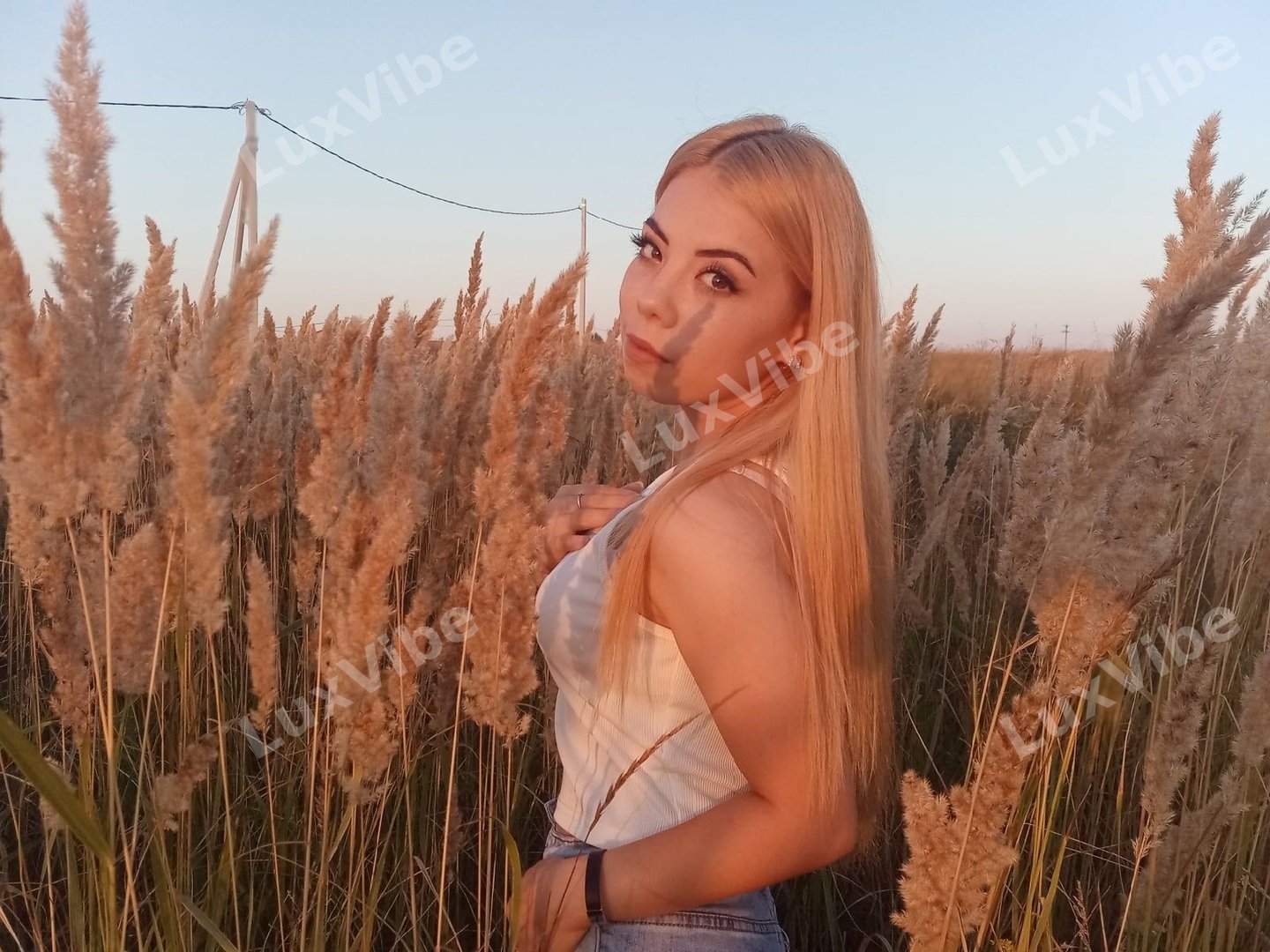 Линка