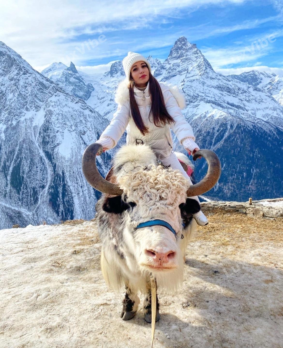 Яна