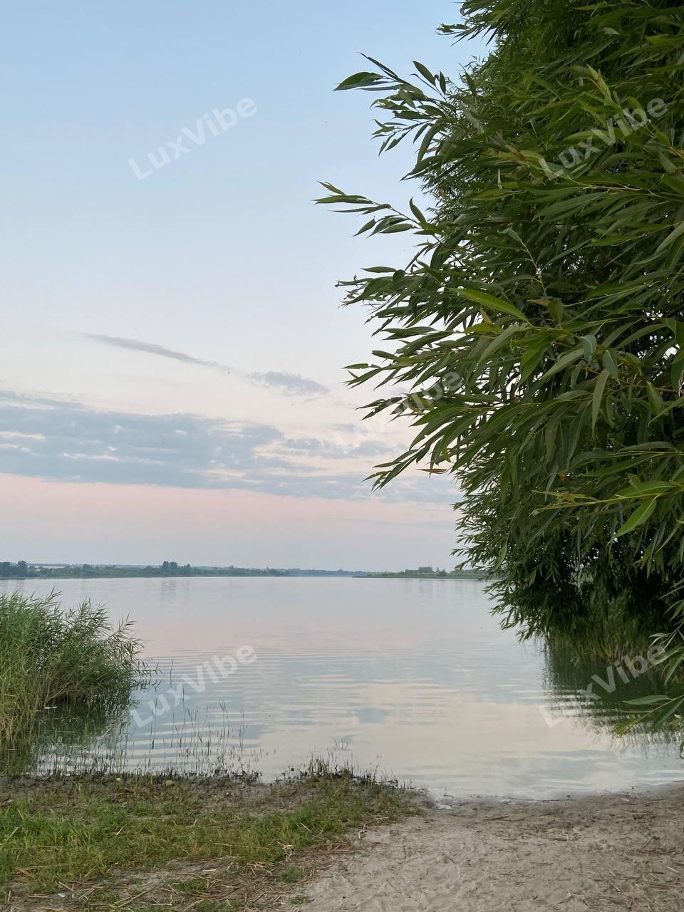 Ками