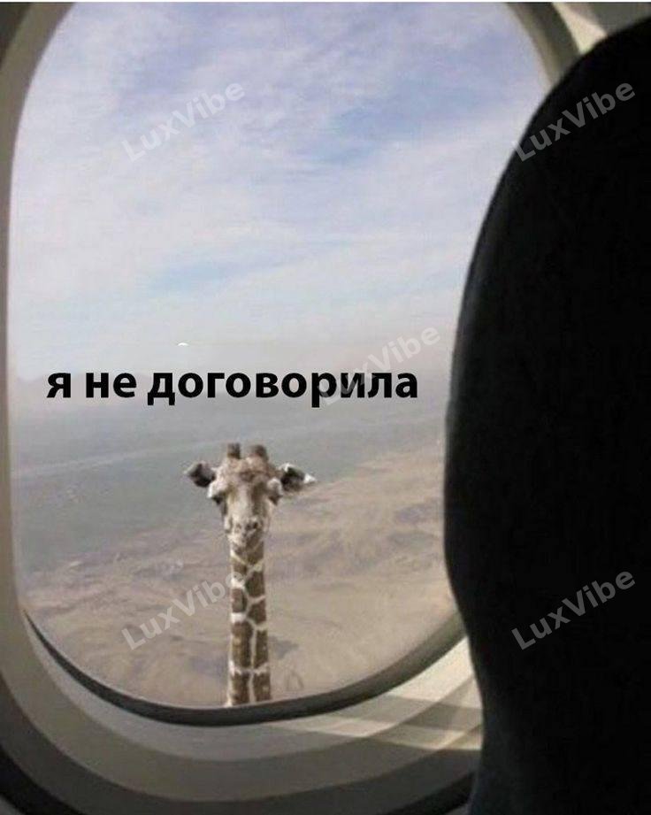 Юля 