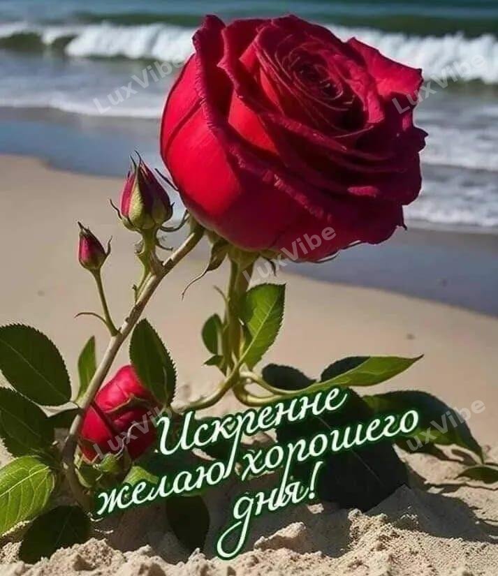 Кристина