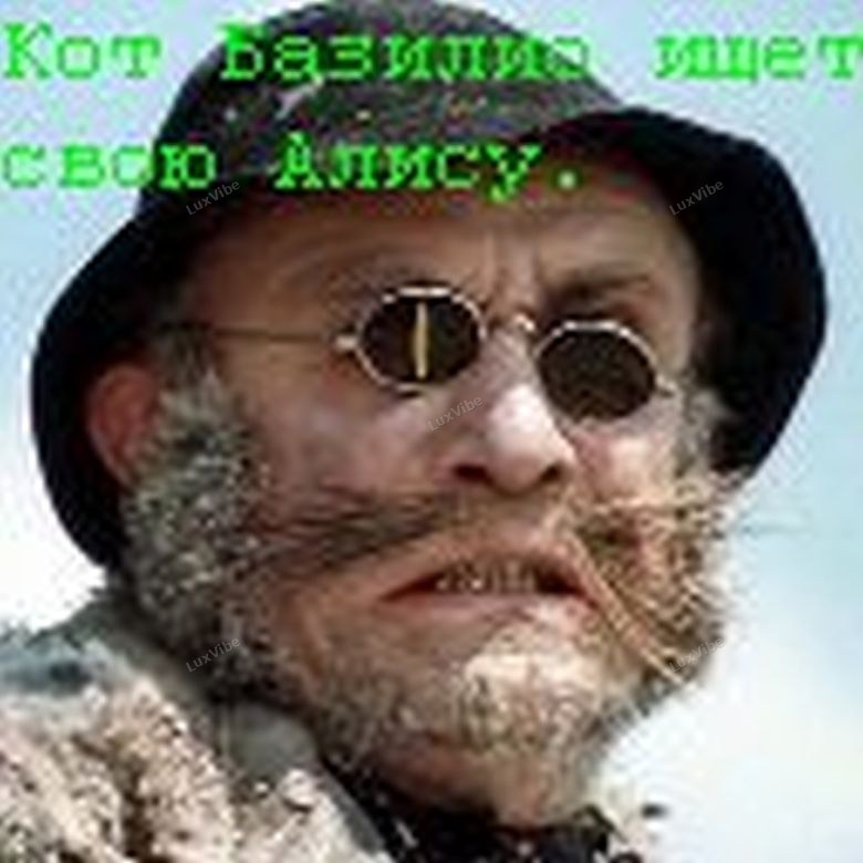 Ant