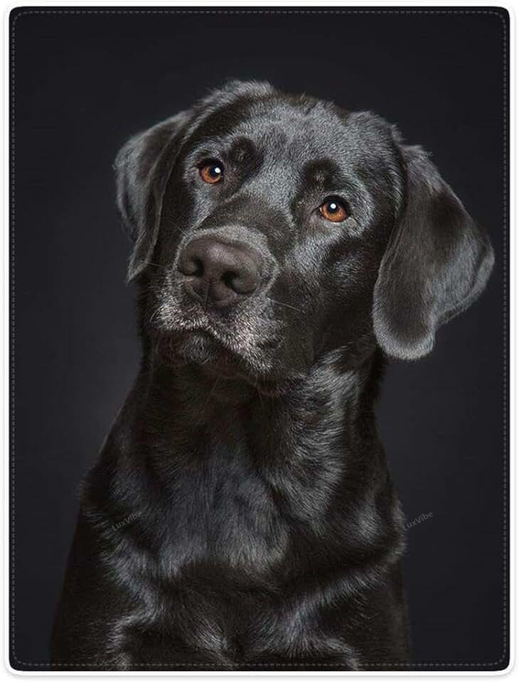 Яна